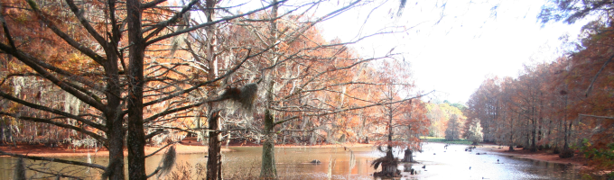 Quick Home Improvement Permits